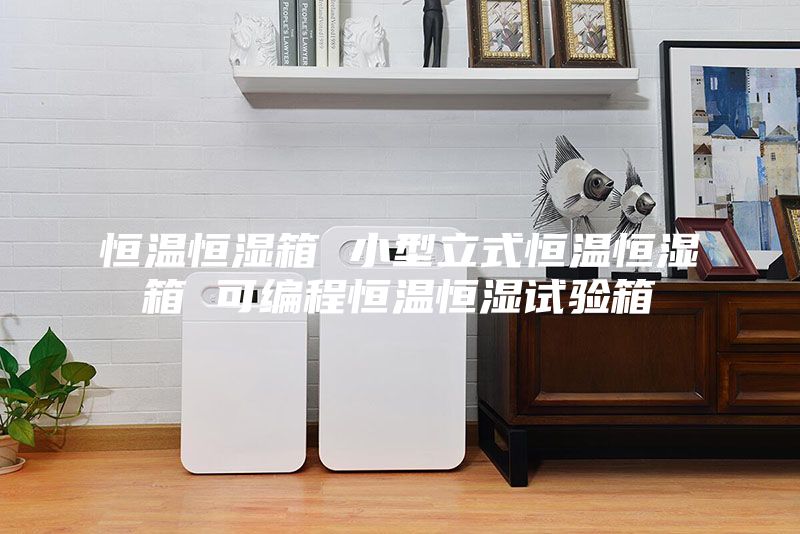 恒温恒湿箱 小型立式恒温恒湿箱 可编程恒温恒湿试验箱