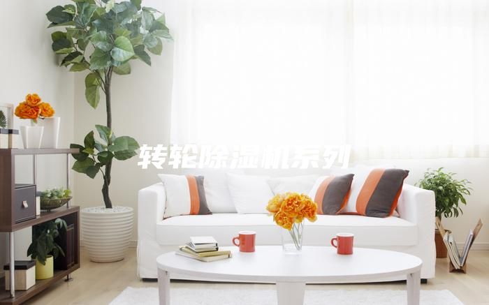 转轮除湿机系列