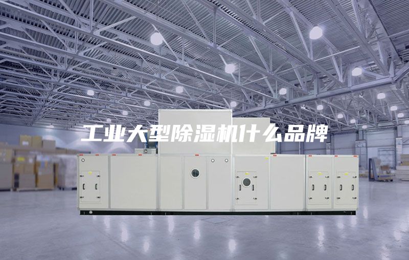 工业大型除湿机什么品牌