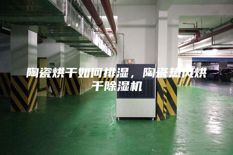 陶瓷烘干如何排湿，陶瓷热风烘干除湿机