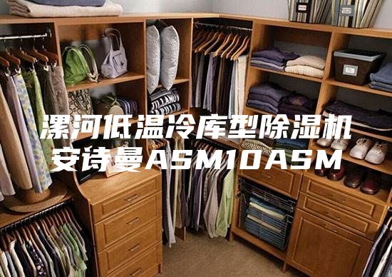 漯河低温冷库型除湿机安诗曼ASM10ASM