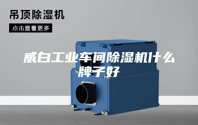 威白工业车间除湿机什么牌子好