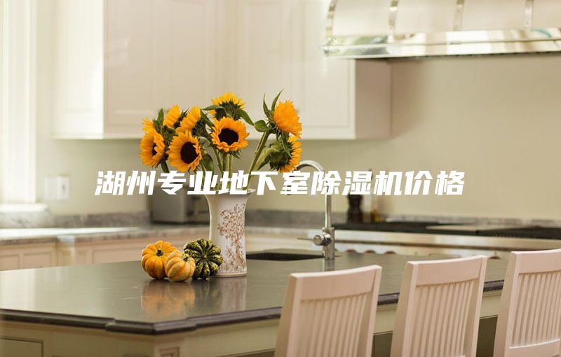 湖州专业地下室除湿机价格