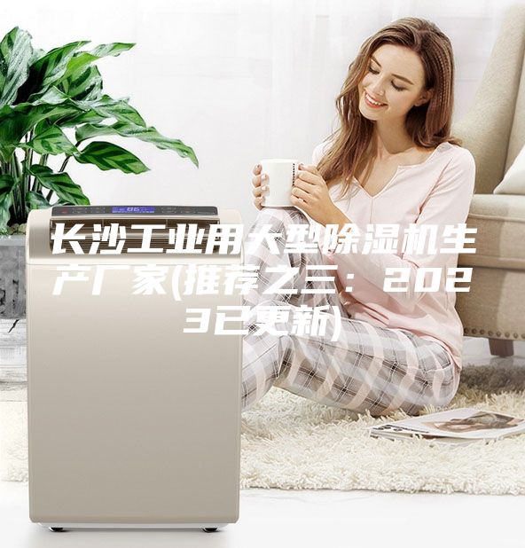 长沙工业用大型除湿机生产厂家(推荐之三：2023已更新)