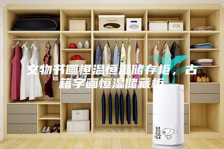 文物书画恒温恒湿储存柜，古籍字画恒湿储藏柜