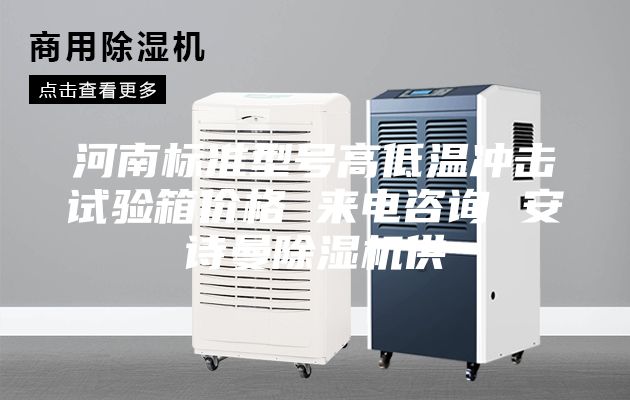 河南标准型号高低温冲击试验箱价格 来电咨询 安诗曼除湿机供