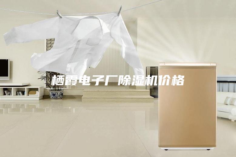栖霞电子厂除湿机价格