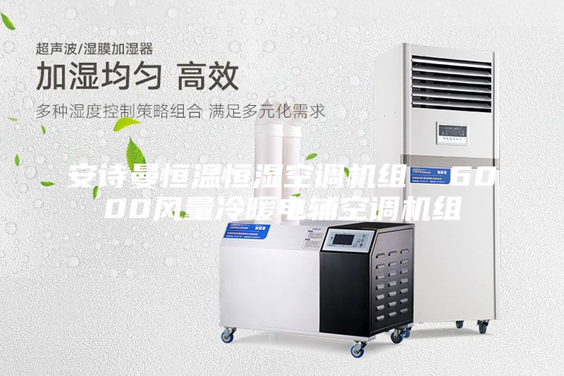 安诗曼恒温恒湿空调机组  6000风量冷暖电辅空调机组