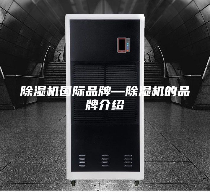 除湿机国际品牌—除湿机的品牌介绍
