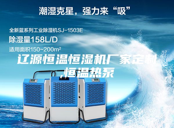 辽源恒温恒湿机厂家定制,恒温热泵