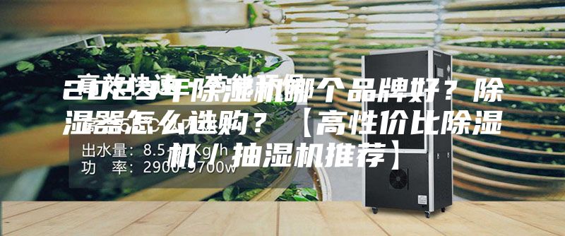 2023年除湿机哪个品牌好？除湿器怎么选购？【高性价比除湿机／抽湿机推荐】