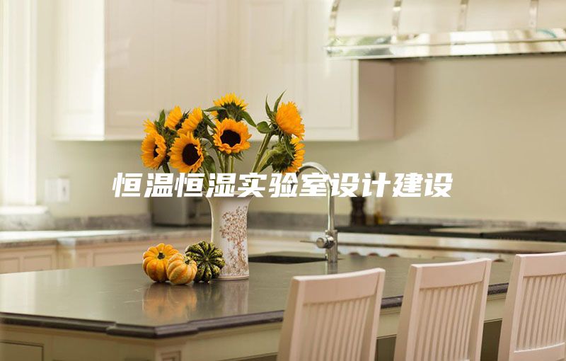 恒温恒湿实验室设计建设