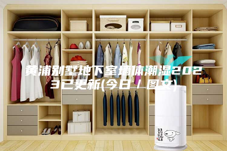 黄浦别墅地下室墙体潮湿2023已更新(今日／图文)