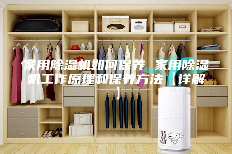 家用除湿机如何保养 家用除湿机工作原理和保养方法【详解】