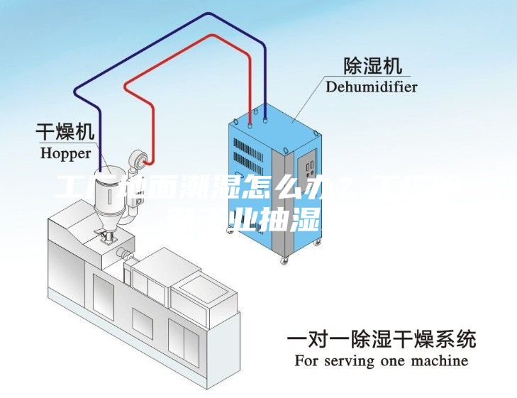 工厂地面潮湿怎么办？工厂除潮工业抽湿机