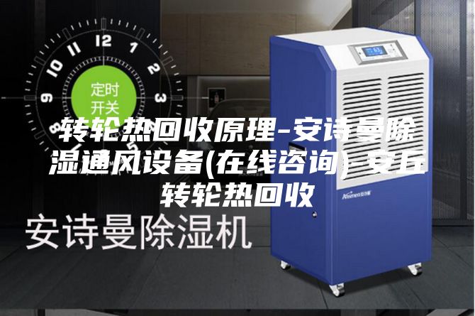 转轮热回收原理-安诗曼除湿通风设备(在线咨询)-安丘转轮热回收