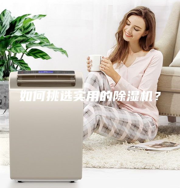 如何挑选实用的除湿机？