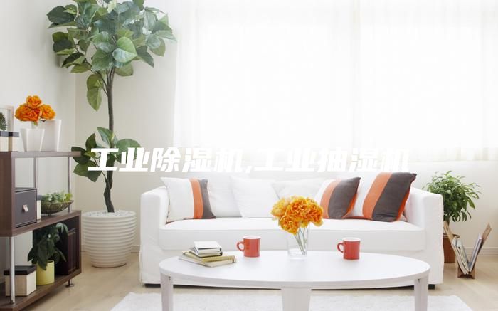 工业除湿机,工业抽湿机