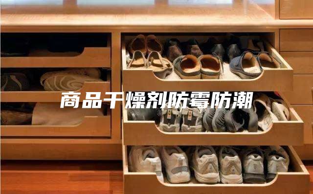 商品干燥剂防霉防潮