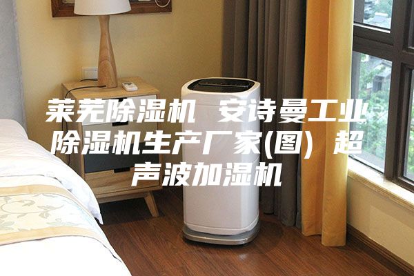 莱芜除湿机 安诗曼工业除湿机生产厂家(图) 超声波加湿机