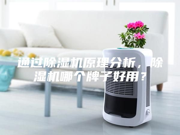 通过除湿机原理分析，除湿机哪个牌子好用？