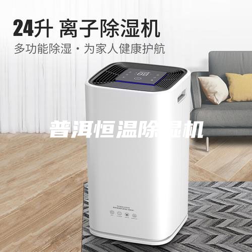 普洱恒温除湿机