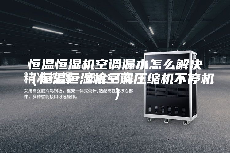 恒温恒湿机空调漏水怎么解决（恒温恒湿机空调压缩机不停机）