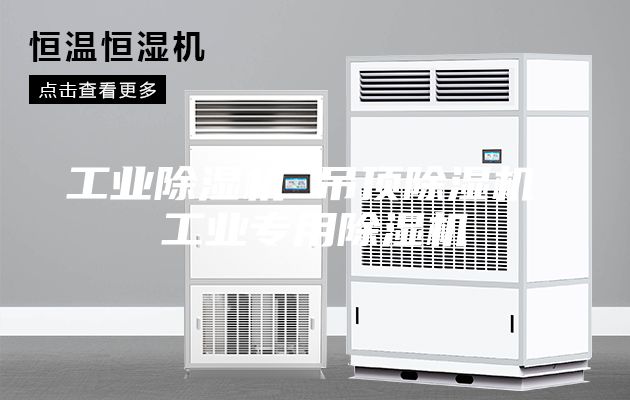 工业除湿机 吊顶除湿机 工业专用除湿机