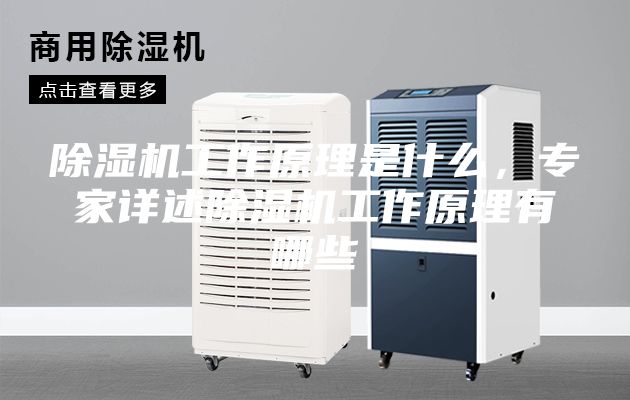 除湿机工作原理是什么，专家详述除湿机工作原理有哪些