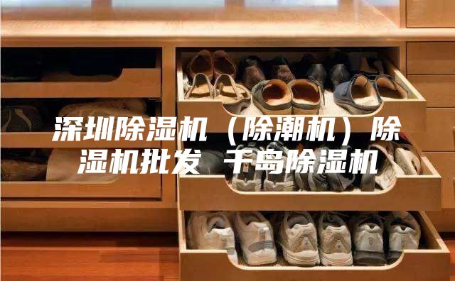 深圳除湿机（除潮机）除湿机批发 千岛除湿机