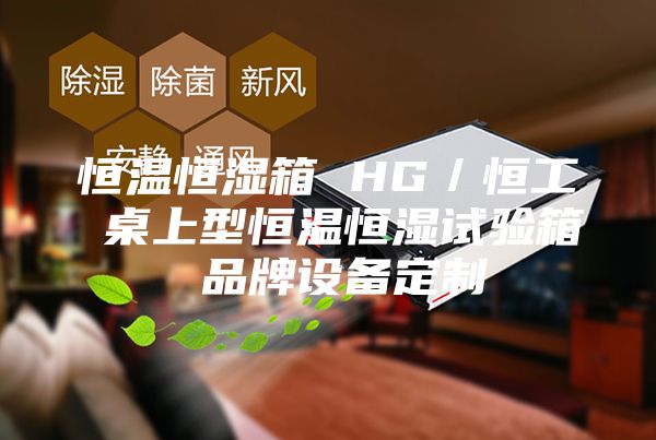 恒温恒湿箱 HG／恒工 桌上型恒温恒湿试验箱 品牌设备定制