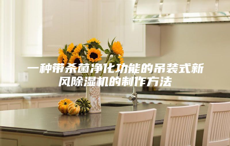 一种带杀菌净化功能的吊装式新风除湿机的制作方法