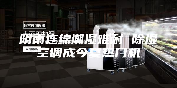 阴雨连绵潮湿难耐 除湿空调成今夏热门机