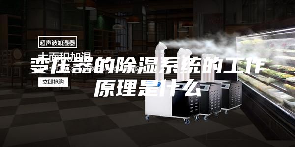 变压器的除湿系统的工作原理是什么
