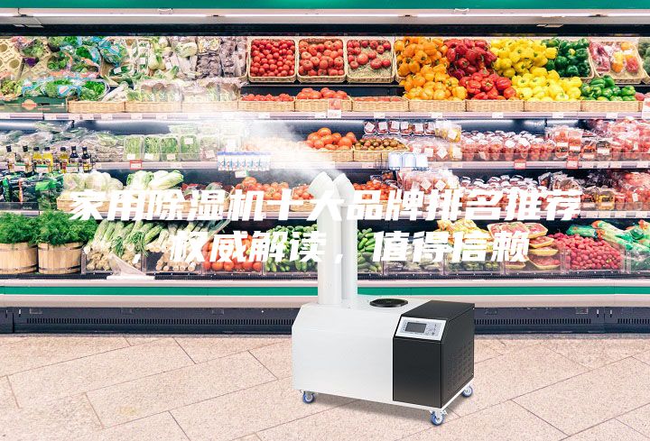 家用除湿机十大品牌排名推荐，权威解读，值得信赖