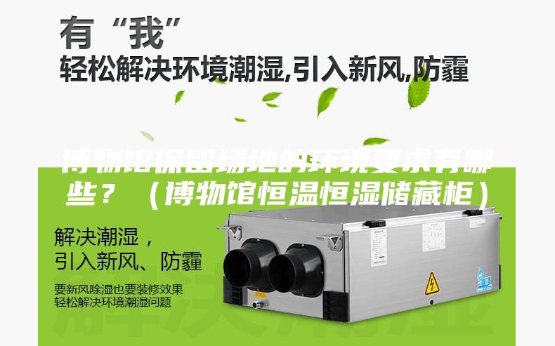 博物馆保留场地的环境要求有哪些？（博物馆恒温恒湿储藏柜）