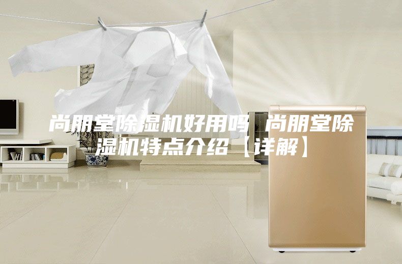 尚朋堂除湿机好用吗 尚朋堂除湿机特点介绍【详解】