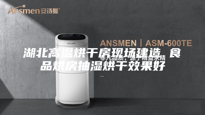 湖北高温烘干房现场建造 食品烘房抽湿烘干效果好
