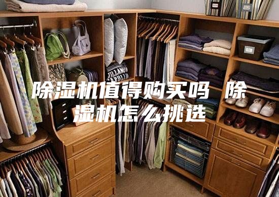 除湿机值得购买吗 除湿机怎么挑选