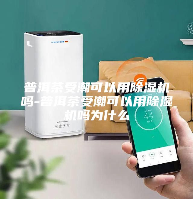 普洱茶受潮可以用除湿机吗-普洱茶受潮可以用除湿机吗为什么