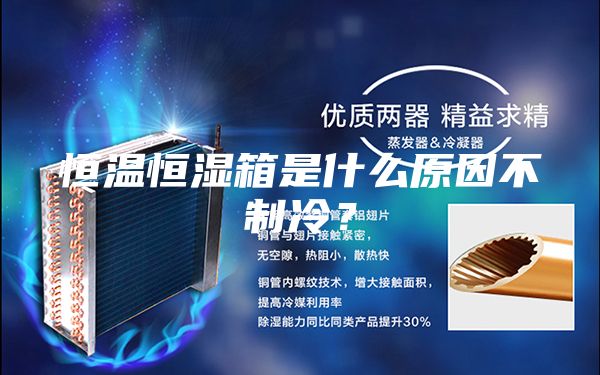 恒温恒湿箱是什么原因不制冷？