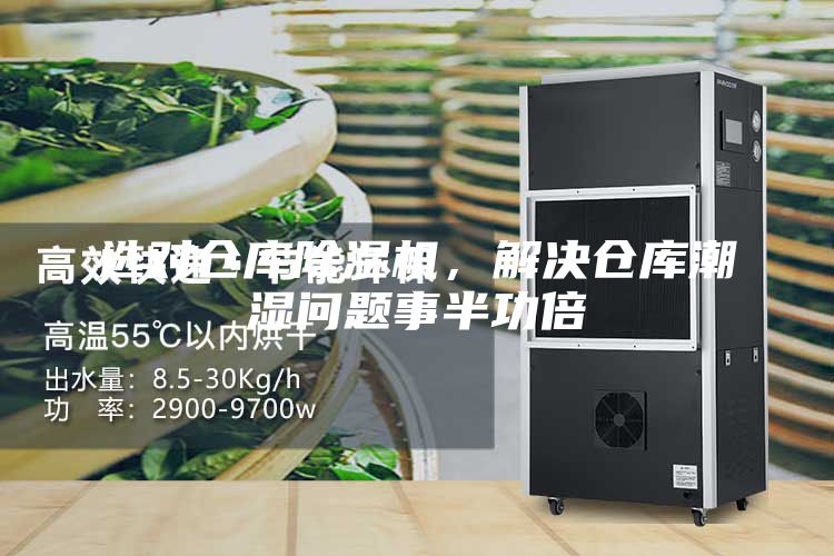 选对仓库除湿机，解决仓库潮湿问题事半功倍