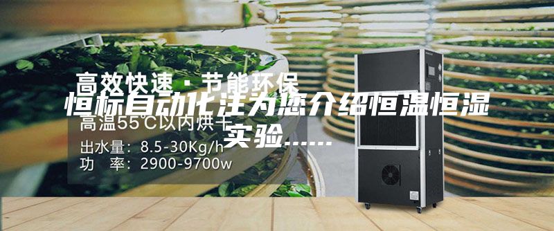 恒标自动化注为您介绍恒温恒湿实验......