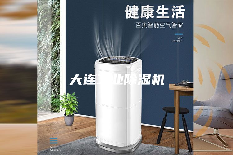 大连工业除湿机