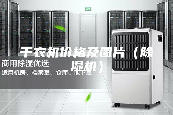 干衣机价格及图片（除湿机）