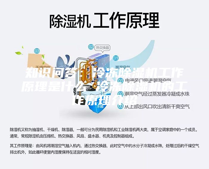 知识问答：冷冻除湿机工作原理是什么 冷冻除湿机的工作原理介绍