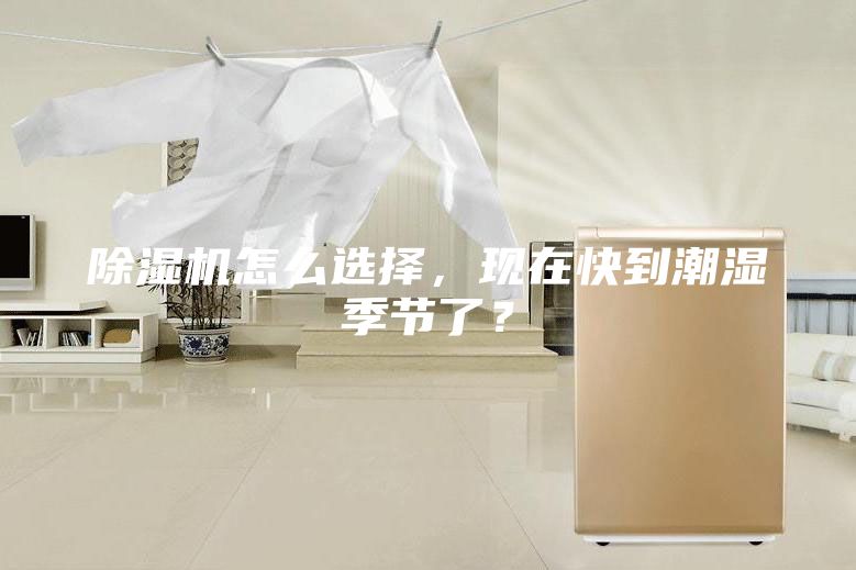 除湿机怎么选择，现在快到潮湿季节了？