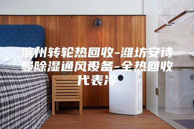 滨州转轮热回收-潍坊安诗曼除湿通风设备-全热回收代表冷