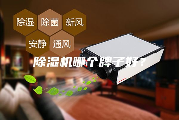 除湿机哪个牌子好？