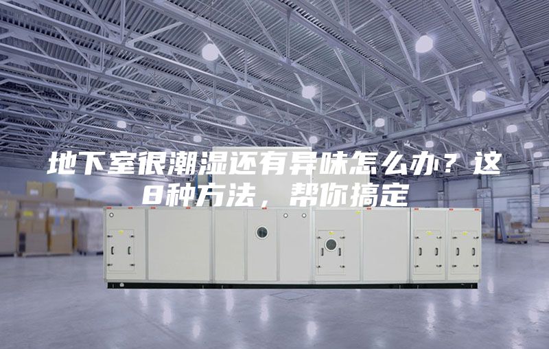 地下室很潮湿还有异味怎么办？这8种方法，帮你搞定